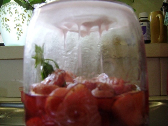 Strawberry Tarragon Liqueur