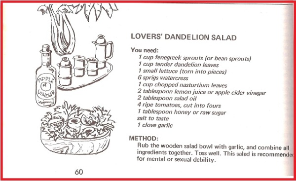 Lovers Dandelion Salad 0